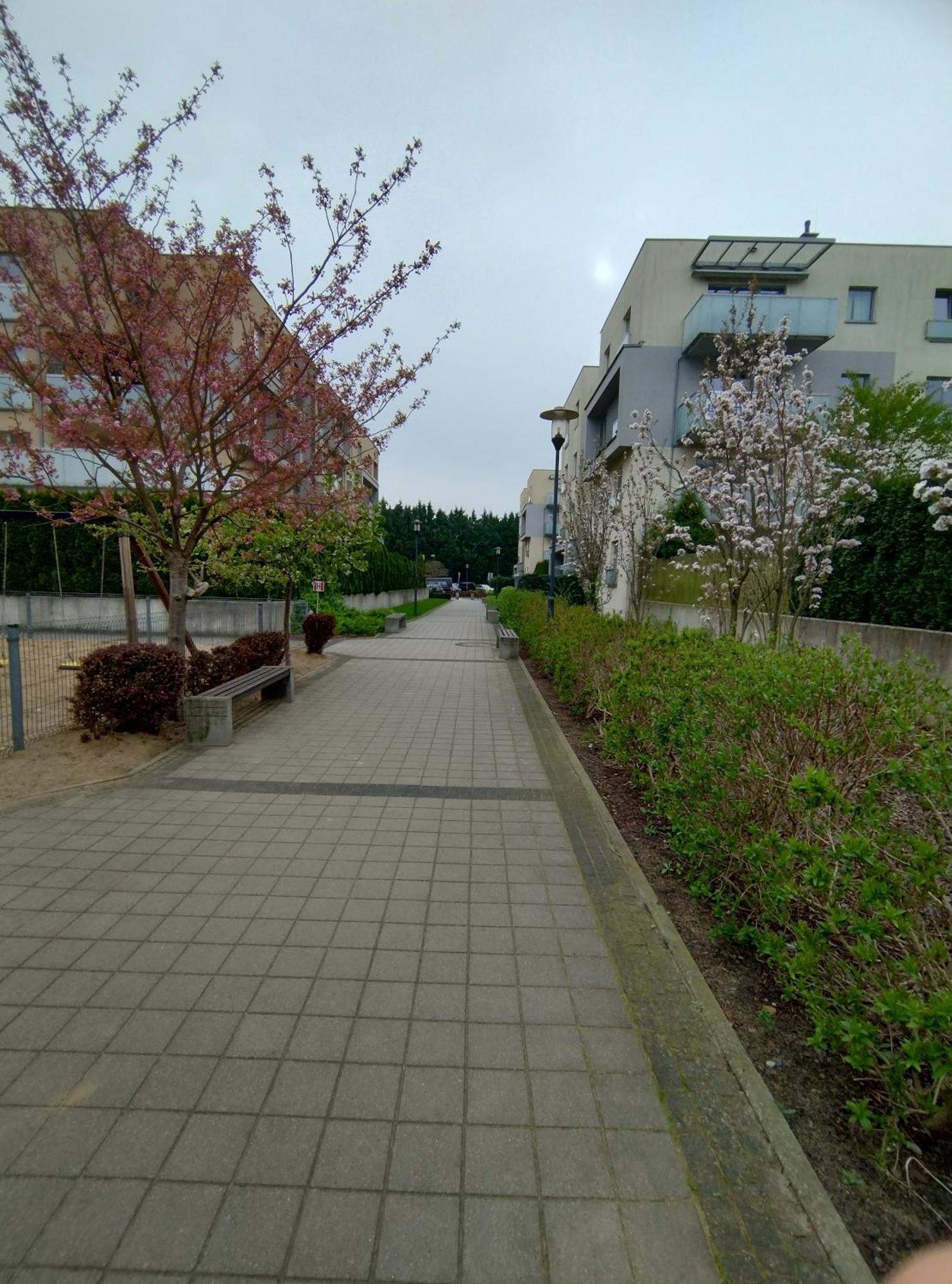 Apartament 1E Barbakan Štetín Exteriér fotografie